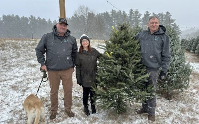 Free Christmas Trees for Veterans!
